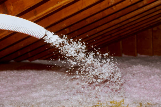 Insulation Inspection Services in Citronelle, AL