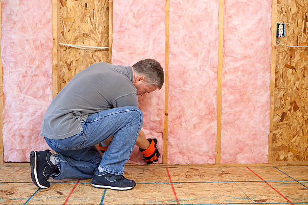 Insulation Repair Services in Citronelle, AL